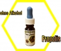 Propolis Lösung ohne Alkohol 10 ml Fl. mit Pipette